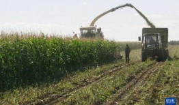 黑龙江农场爆料视频最新,揭秘神秘农业生态圈